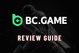 Understanding BC Game.vc KYC A Comprehensive Guide -187410717